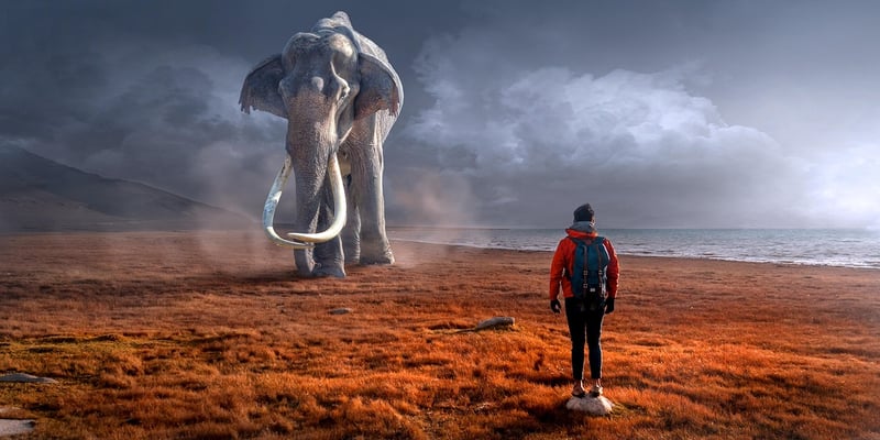 Mythical Journeys